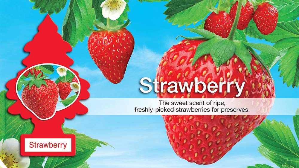 Amazon.co.jp: リトルツリー エアフレッシュナー 【Strawberry