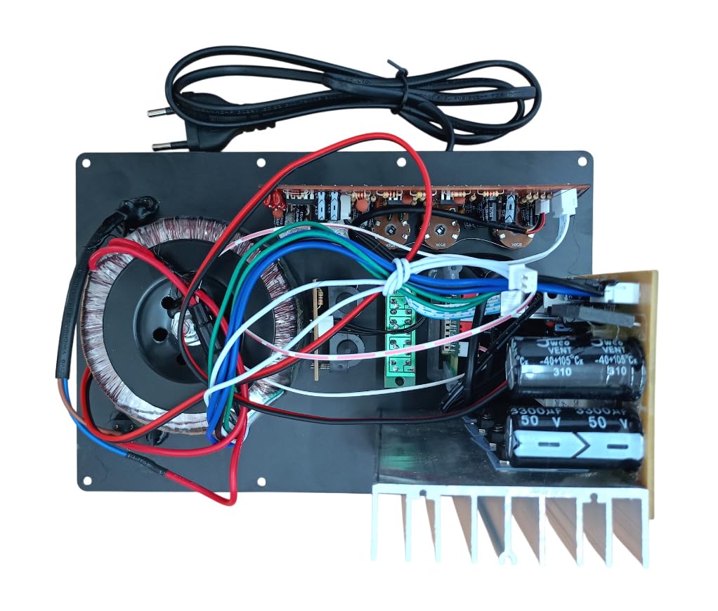 Modulo Amplificatore PM100 per Cassa Acustica – Ricambio Audio per Altoparlanti e Diffusori