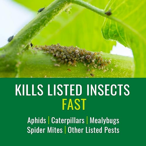 Miniatura 2 de Natria Control de insectos de tomate, verduras y frutas, listo para usar, 24 onzas