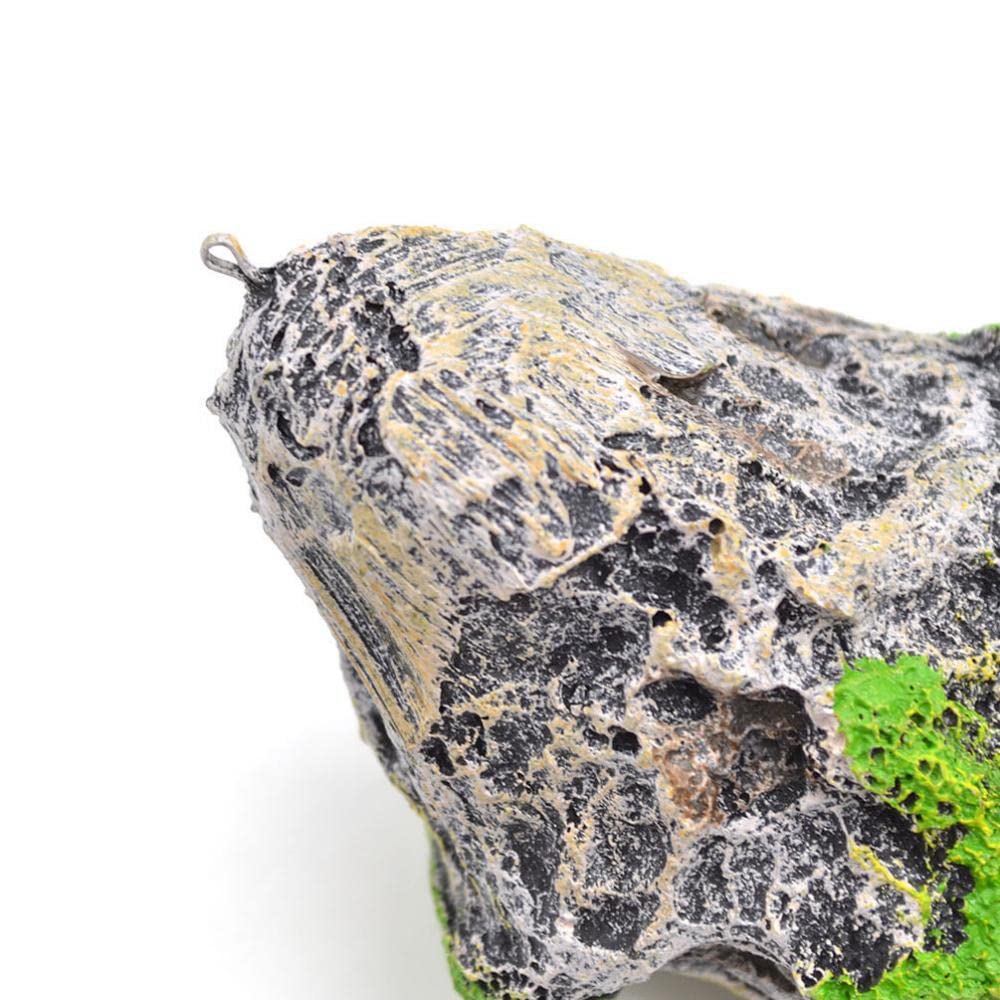 Colcolo Acquario con Rocce Galleggianti E Paesaggio Sospeso, L