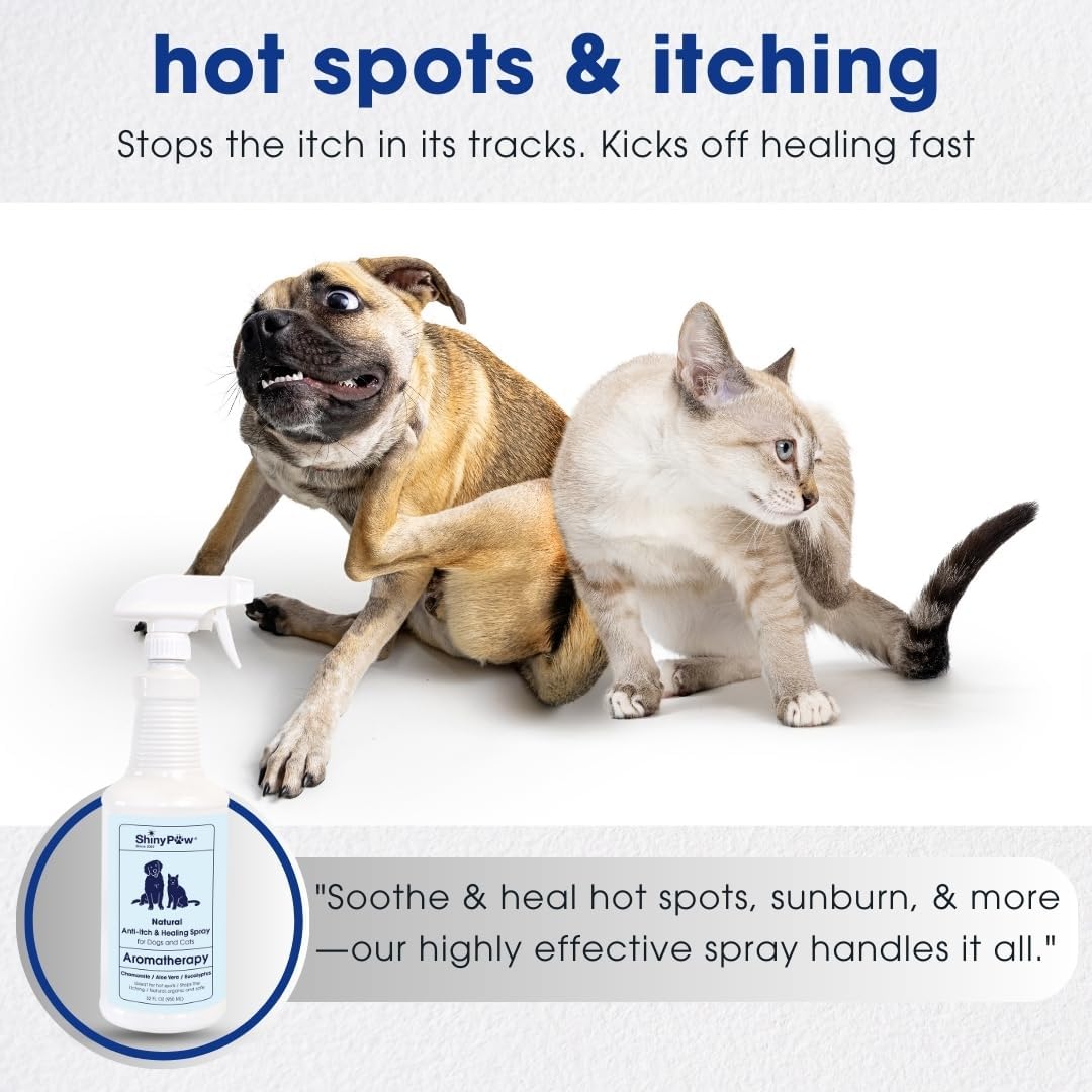 Dog Itch Relief Spray by Shiny Paw 32 oz | Aloe Vera & Eucalyptus Skin Itch Remedy | Dog Hot Spot Spray | Natural Anti Itch Spray for Pets | Dog Itchy Skin Relief