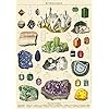 Cavallini Mineralogie inpakpapier Poster