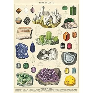 Cavallini Mineralogie inpakpapier Poster