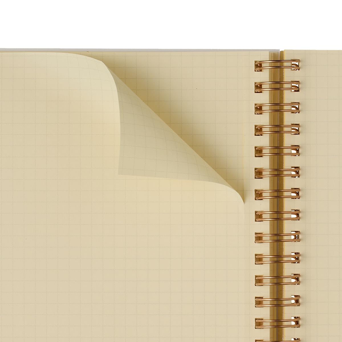 Amazon.co.jp: [Delphonics Notebook, 2024 Edition/Begins October