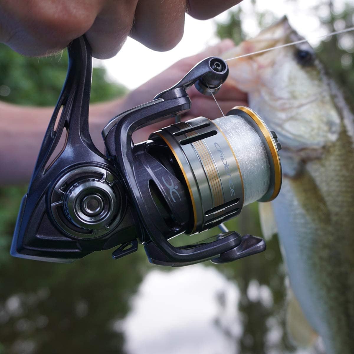 Cadence Lux Spinning Fishing Reels - Ultra Smooth Powerful Spinning Reel with 9+1 Shielded BB, Lightweight Carbon Fiber Frame, 36LBs Max Drag, 5.2:1-6.2:1 High Speed Gear Ratio & Braid-Ready Spool