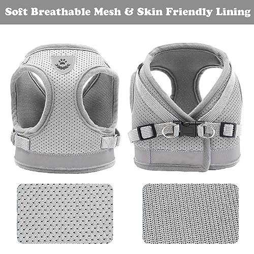 Anlitent Harnais et laisse en maille souple anti-traction pour chat/chien - Anti-fuite - Pour petits chiens - Collier pour lapin/souris/chat - XS - Image 8