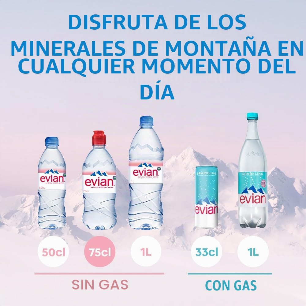 Agua mineral Evian 12 x 750 ml