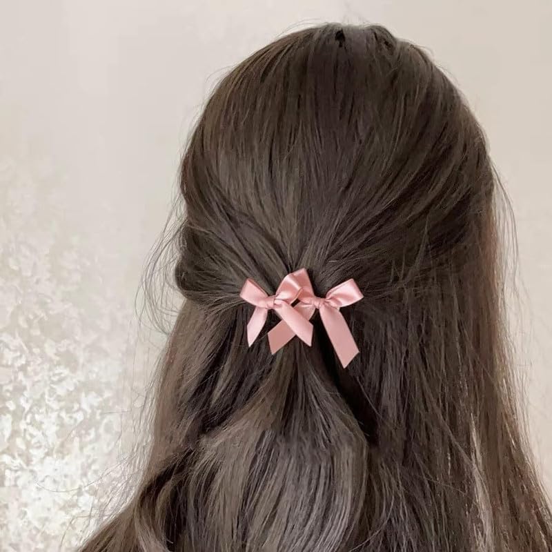PABULUM 6PCS Mini Pink Bow Hair Clips Cute Bowknot Hair Clips Ballet Bow Hair Clips Baby Toddler Hair Clips for Women and Girls|PINK (B0CW3CKKZW) Amazon Price History, Amazon Price Tracker