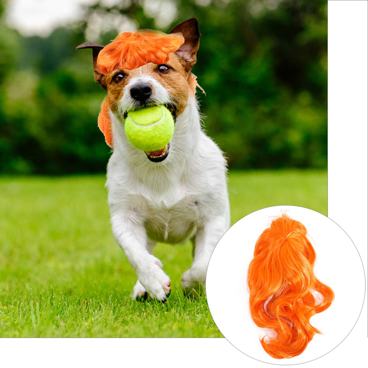 Hond Cospaly Pruik voor Kleine Honden Huisdier Kostuums Haar Pruik Hond Aankleden voor Halloween Hond Pruiken voor Middelgrote en Grote Honden Huisdier | NL