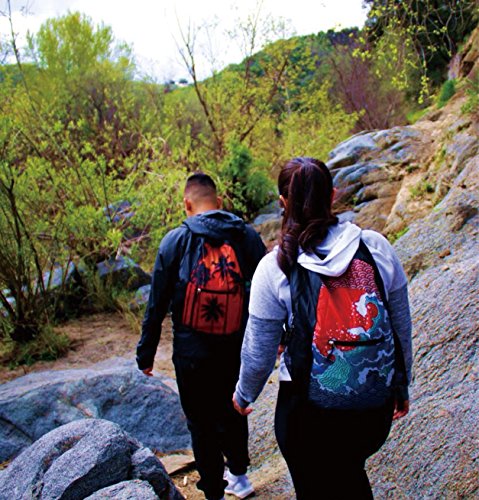 WindNSun Summit GoPak Daypack Lightweight Folding Travel Backpack - Hawaiian3