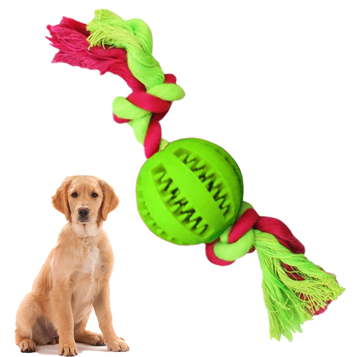 Cature Interactive Dog Toys, Dog Chew Toys Ball for Small Medium Dogs, IQ Treat Boredom Food Dispensing, Puzzle Puppy Pals Tough Durable Rubber Pet Ball, Best Cleans Teeth Dog Balls (Green) (B0C4FBDRGP) Amazon Price History, Amazon Price Tracker