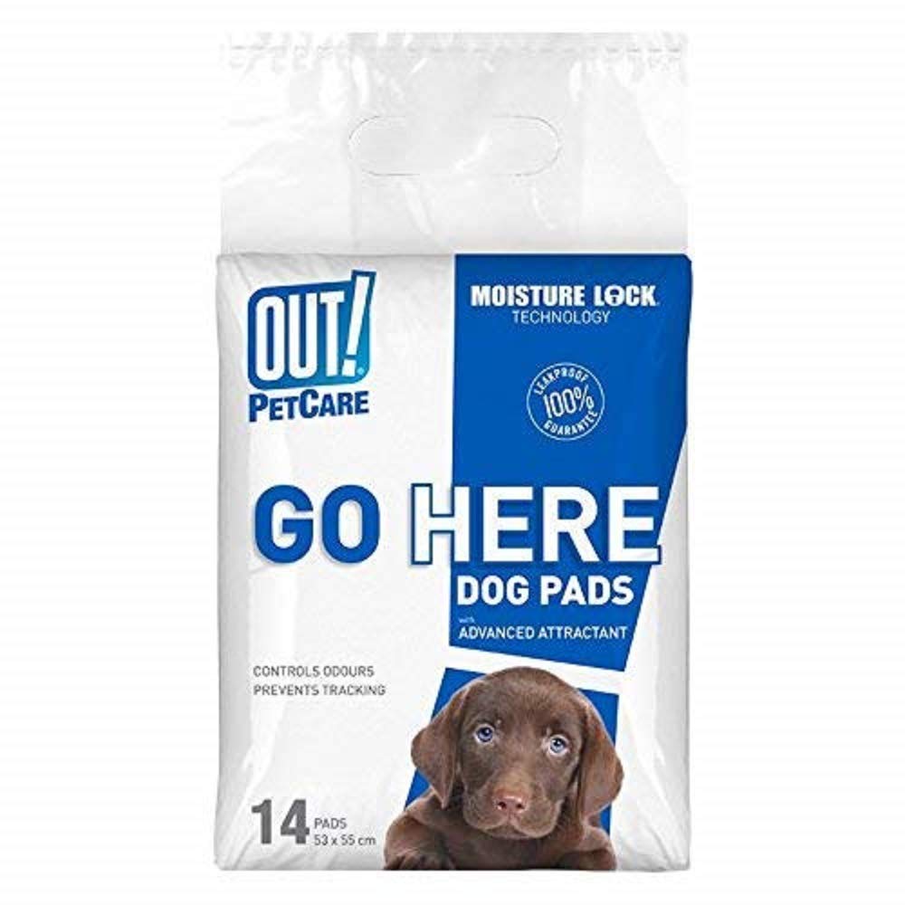 OUT! Out Moisture Lock, Dog Training Pads (14 Pack) (B005WNA0PA) Amazon Price History, Amazon Price Tracker