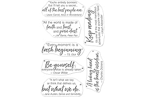 Hero Arts Scrubber Block