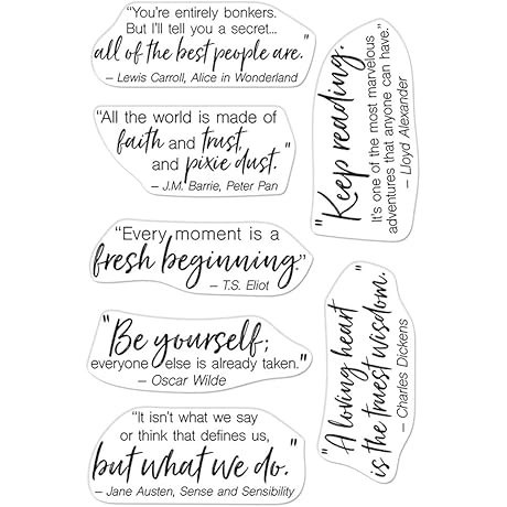 Hero Arts Scrubber Block