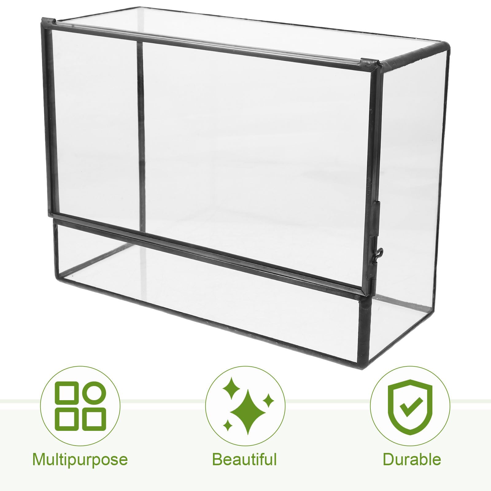 Terrario Ecosistema in Vetro Box Paesaggio in Vetro Mini Giardino da Tavolo per Piante e Muschio Corpo Trasparente Facile da Pulire per Tavolo
