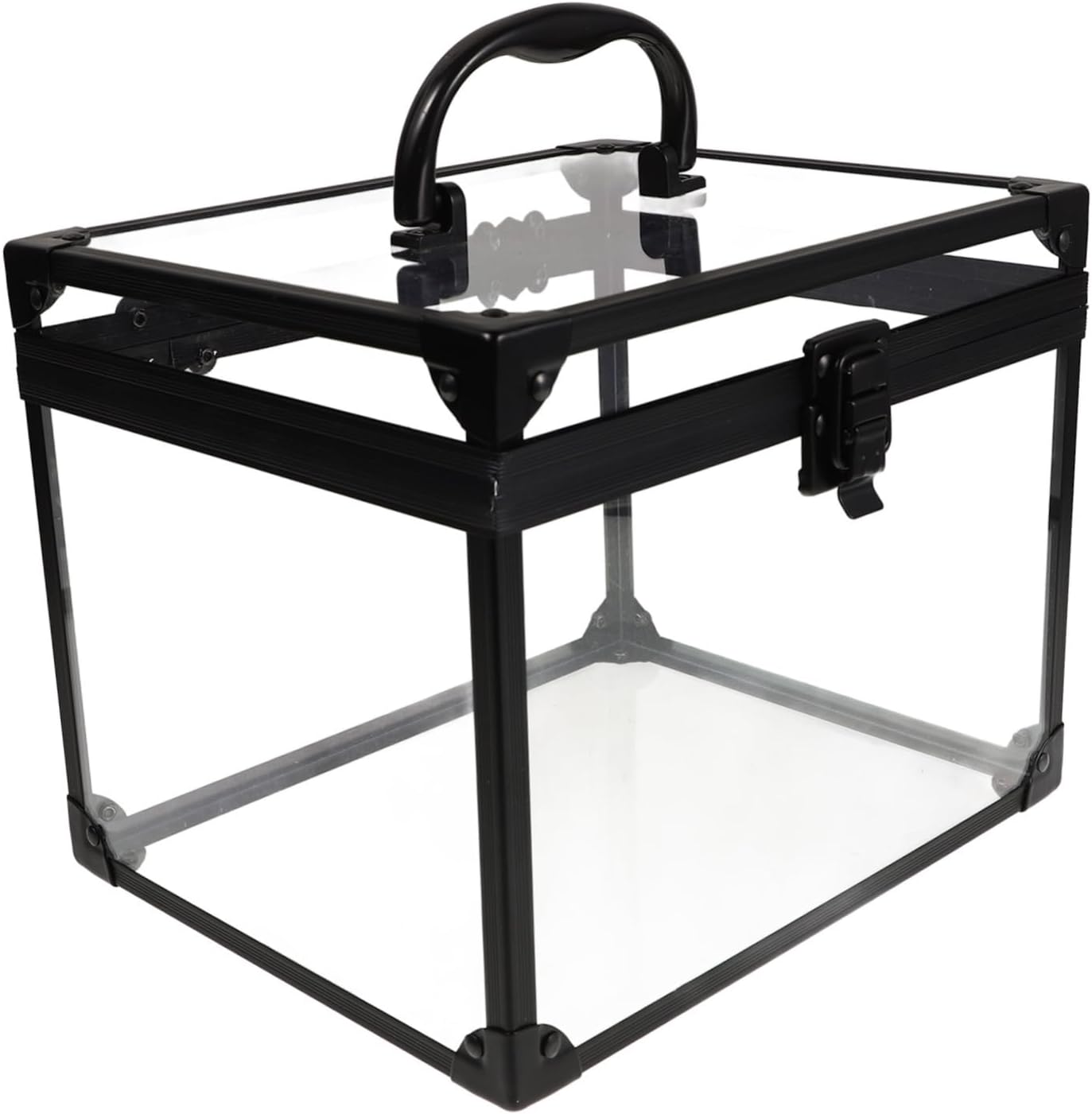 Lockable Jewelry Organizer Travel Makeup Case Transparent Storage Box Earring Ring Holder Key Lock Storage