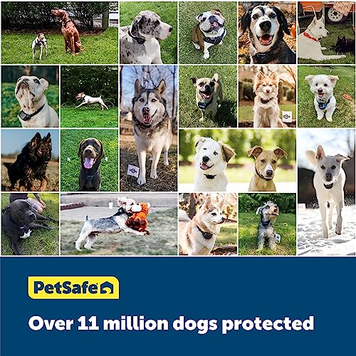 PetSafe Fence Installation and Collar Use