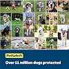 PetSafe Basic In-Ground Fence and PetSafe Deluxe UltraLight Receiver Collar Bundle