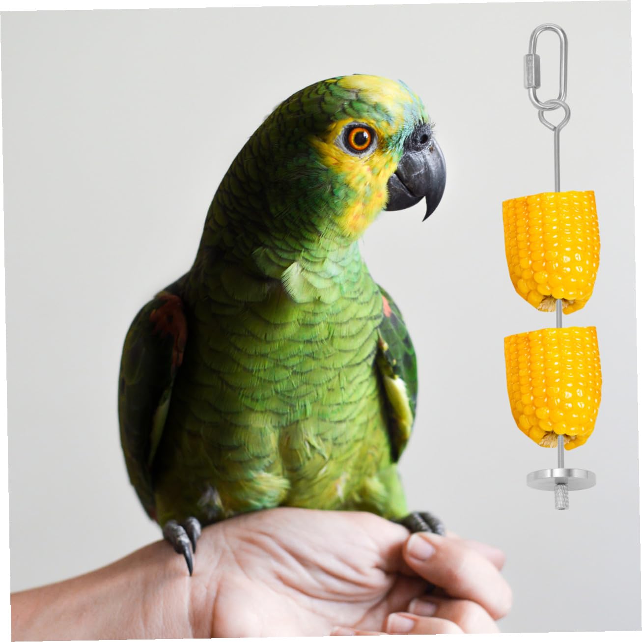BESPORTBLE 6pezzi Mangiatoia Per Uccelli Acciaio Inossidabile Di Supporti Per Frutta e Verdura Accessori Per Pappagalli e Piccoli Animali Facili Da Installare e Ricaricare