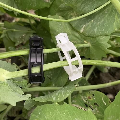 Miniatura 4 de 100 clips de soporte para plantas de jardín, clips de tomate, lazos para plantas, clips de enrejado, clips de enrejado para plantas de vid de