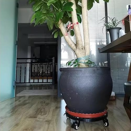 Miniatura 5 de Soporte rodante resistente para plantas con ruedas de bloqueo, base de rodillo FRP para árboles grandes en maceta, plataforma rodante para plantas