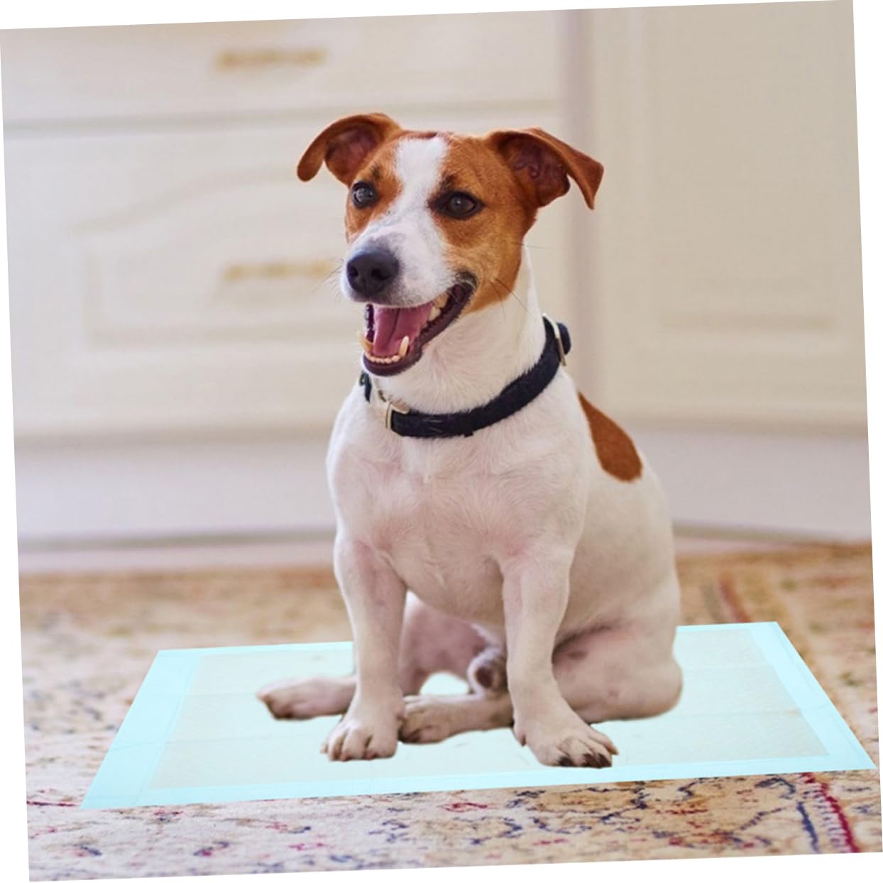 Toyvian 100pezzi Tappetini Assorbenti Per Domestici Traversine Ultra Assorbenti e Impermeabili Per Per Addestramento Indoor e Facile