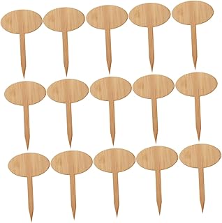 TOYANDONA 20 Etiquetas Para Suculentas Etiquetas Para Plantas Letreros Para Plantas Estacas Para Identificar Plantas Decoraciones Para Cercas Placas Para Exteriores Accesorios Para