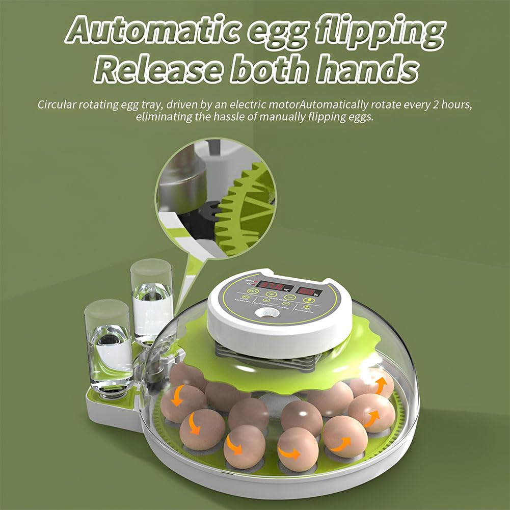 Incubatrice per uova di pollo per la schiusa | Incubatrice automatica per uova con controllo della temperatura, incubatrice automatica con girauova per 8/12/18 uova(12)