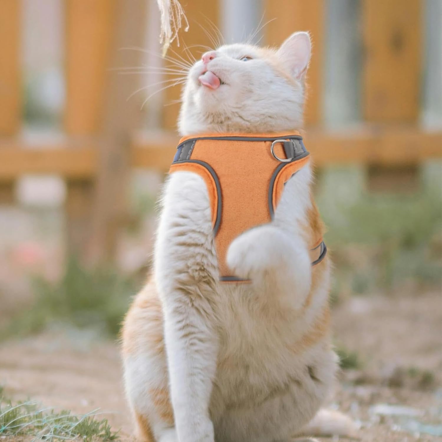 Soft Suede Reflective Cat Harness with Breathable Adjustable Vest, Small Light Brown Pet Harness and Outdoor Dog Leash for Walking Puppies and Cats