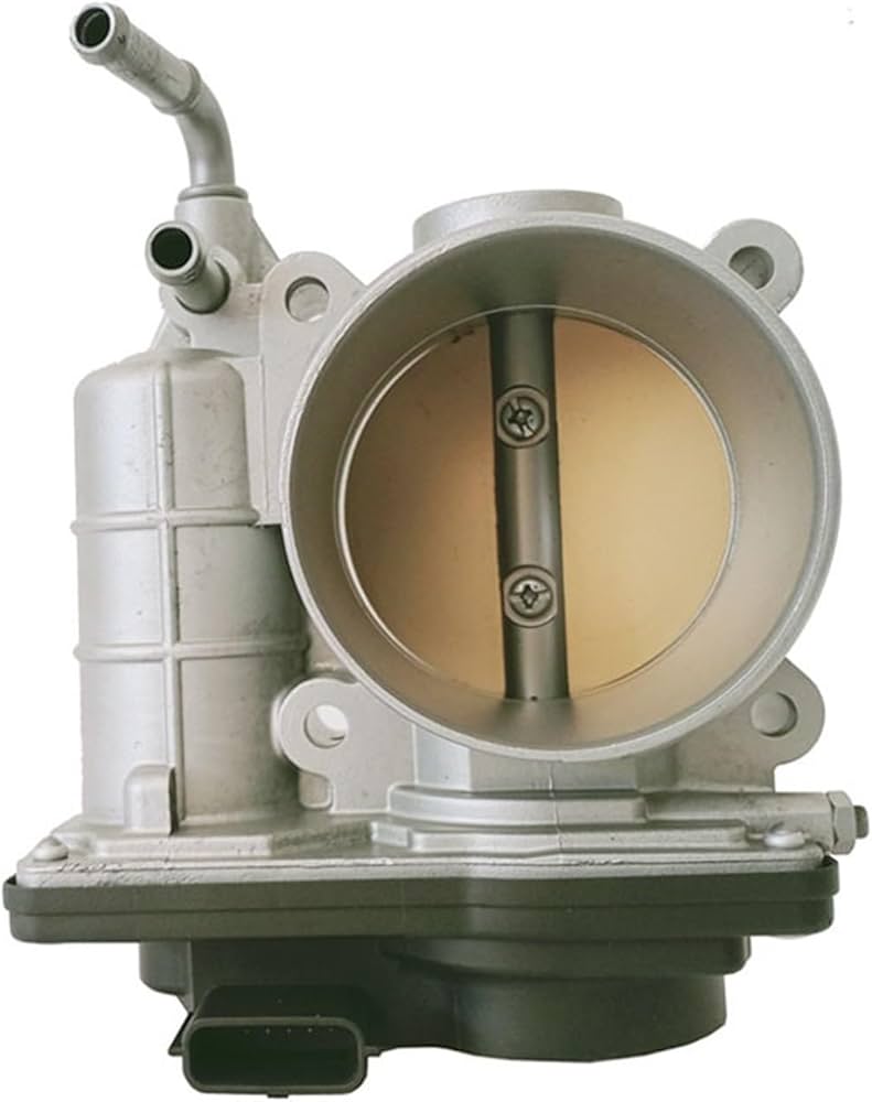 Amazon.com: Throttle Body Assembly OEM SERA526-01 With Bore Size