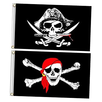 Amazon.co.jp: BCOATH 2個 海賊髑髏旗 ハロウィン海賊旗両面 庭