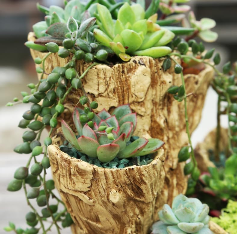 Driftwood Planter Faux Wood Resin Succulent Planter Vintage Artificial Stump Log Like Container Pot for Home&Garden NO Plants (6 Openings)