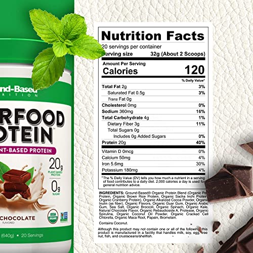 Superfood Protein, Plant-Based Protein Powder – Super Food Powder + Essential Greens – Organic, Vegan, Keto, Paleo, Low Calorie High Protein Powder, Non-Gmo, Gluten Free - 20 Servings, Rich Chocolate #TOP1