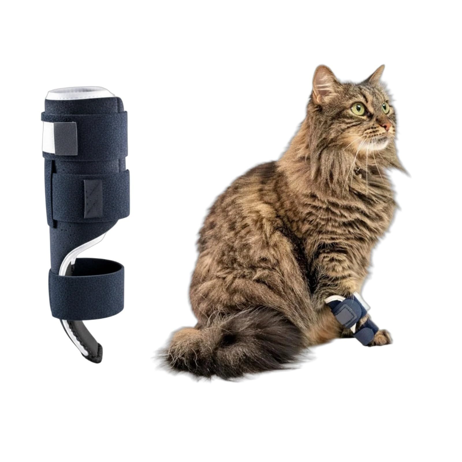 Adjustable Cat Paw Brace with Removable Aluminum Splint for Stabilizing Wrist Bones Fractures Sprains Soft Breathable Fit Front or Back Legs