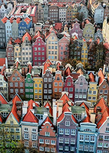 Ravensburger(ラベンスバーガー) ジグソーパズル 風景 ポーランド・グダニスク 1000ピース 完成サイズ:70x50cm 17225 2 【パズル、プレゼント(誕生日/クリスマス)】