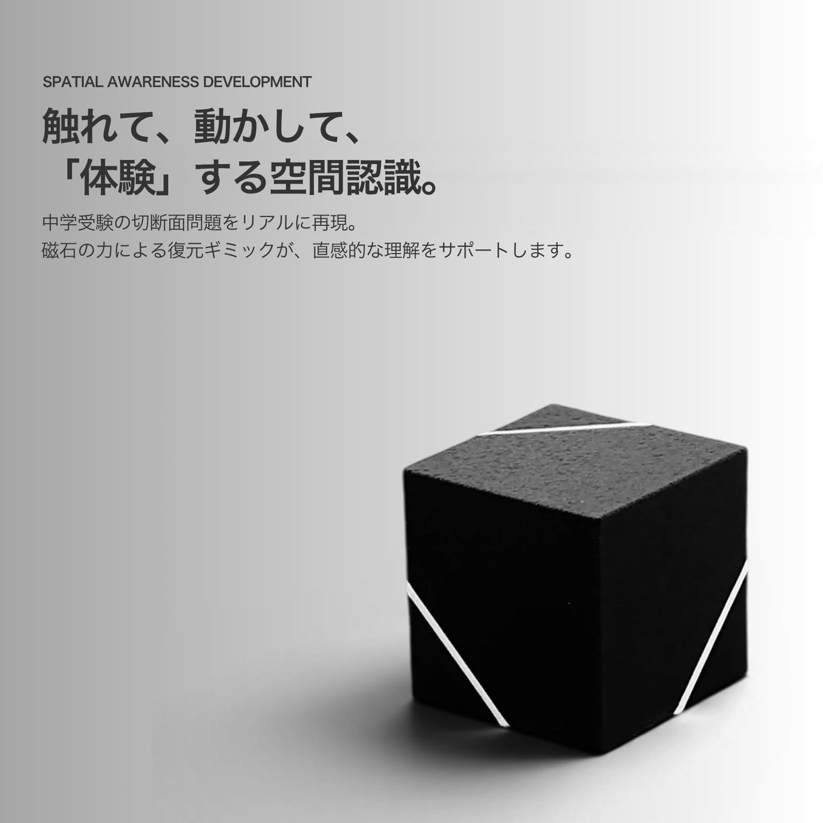 Amazon.co.jp: 中学受験対策 立方体断面模型セット クロスセクション 