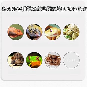 Amazon | Sariny爬虫類 ケージ トカゲ ケージ 爬虫類のケージ