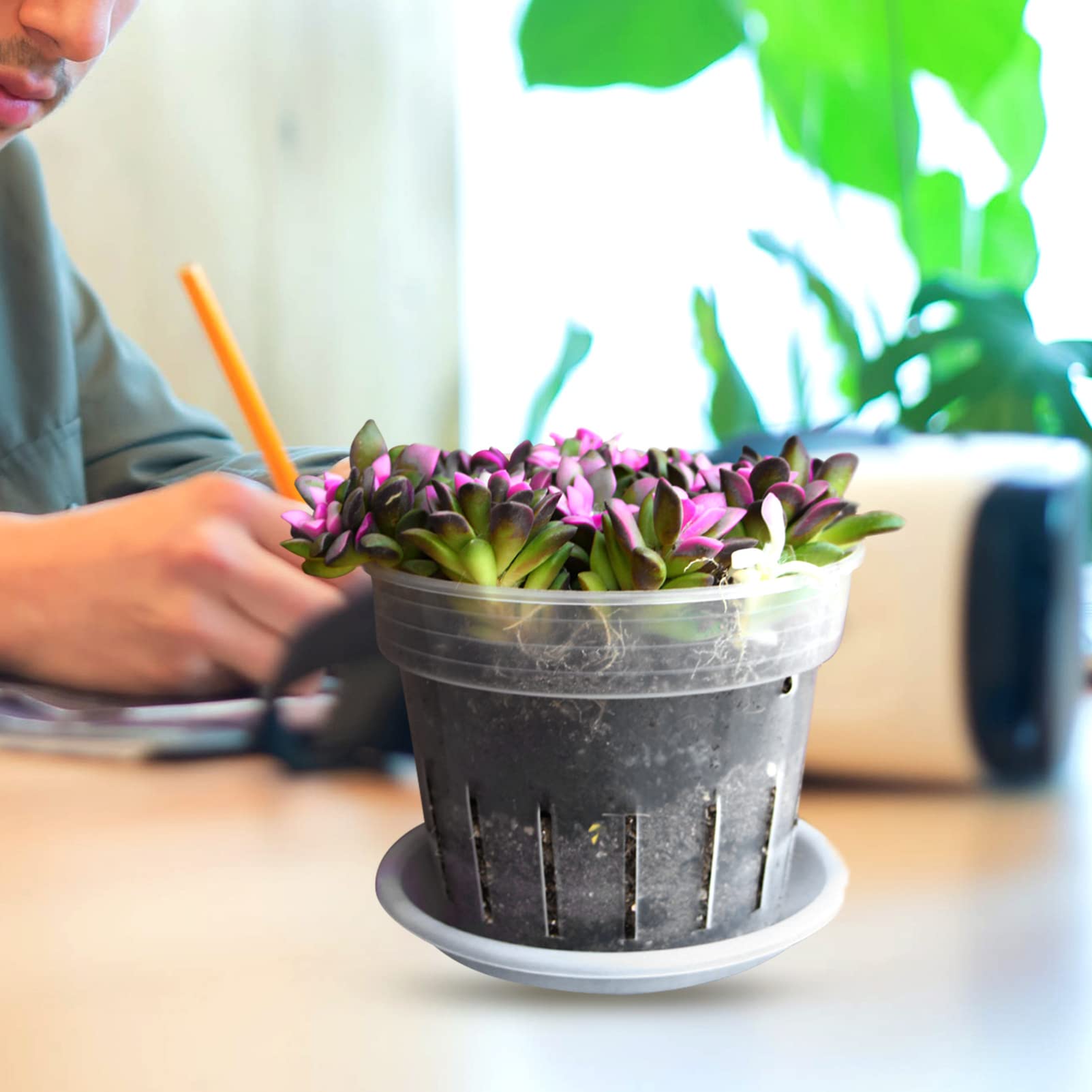 Toddmomy 5ensembles Pots De Fleurs Plastique Transparent Avec Drainage Ensemble De Pots Pour Orchidées Et Plantes Intérieur Et Extérieur Résistants Et Durables Avec Soucoupes Incluses