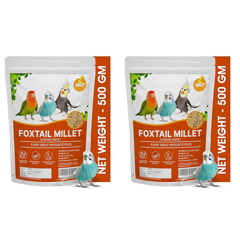 BOLTZ Premium Foxtail Millet (Kangni Seeds) 500 Gm, Bird Food for Canaries, Finches, Waxbills, Budgies, Lovebirds, Cockatiels, 500 Gm (Pack of 2) for Adult (B0CZLPKKWZ) Amazon Price History, Amazon Price Tracker