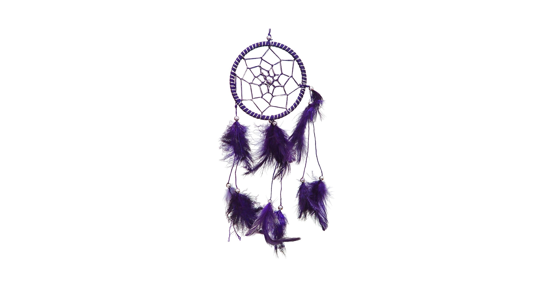 Amazon.com: DreamCatcher ~ Purple DreamCatcher with Feathers