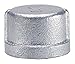 Cap,1 in,NPT,Galv