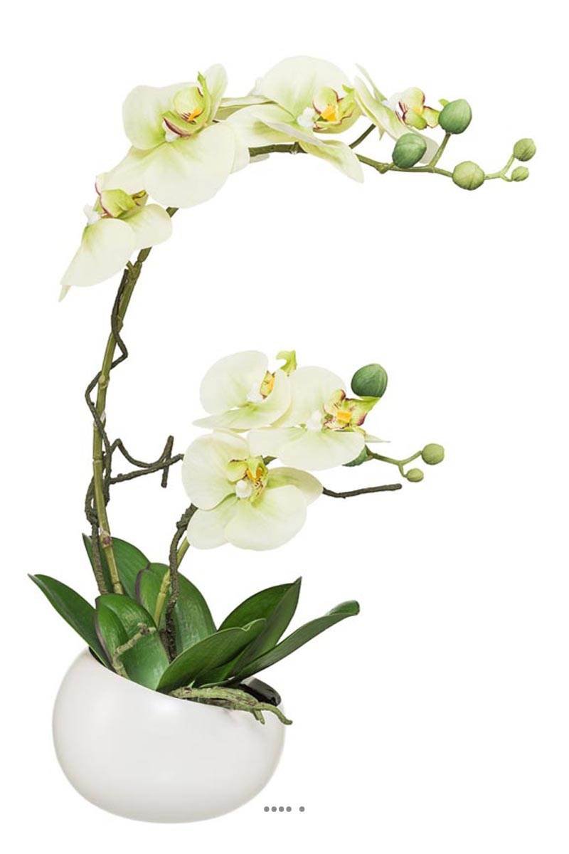 Orquídea ficticia 2 hampas taza cerámica H45cm tocado real crema verde - color: crema verde