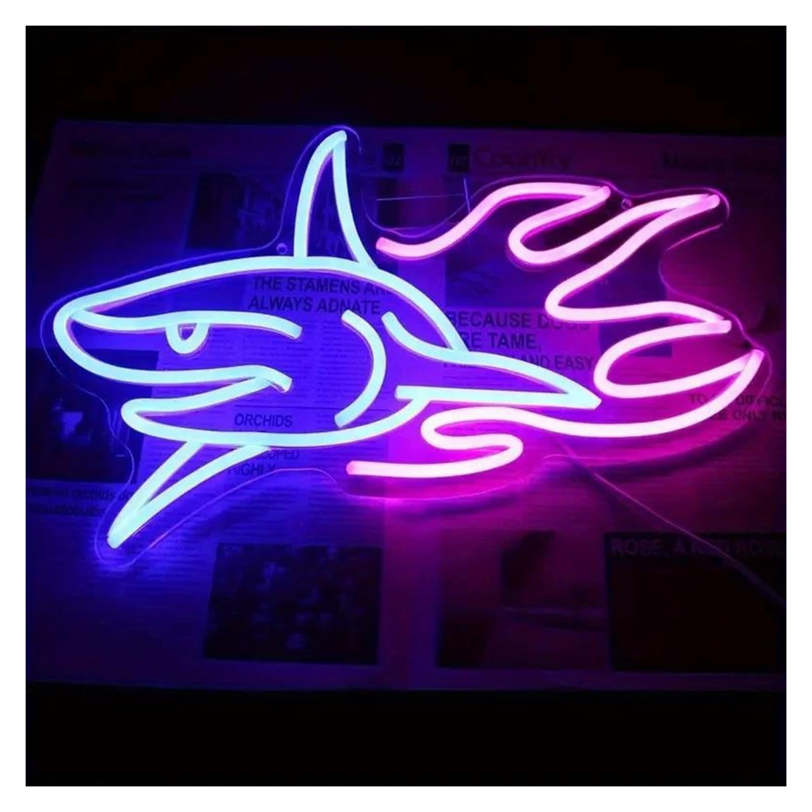 SHOUXI Sign Lamp Shark Neon, for Room Bedroom Decoration with Dimmable Switch, Party Room Decoration 26x42cm