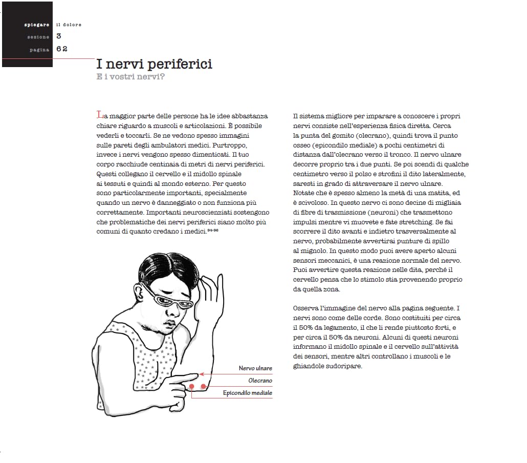 Spiegare il dolore. Ediz. illustrata