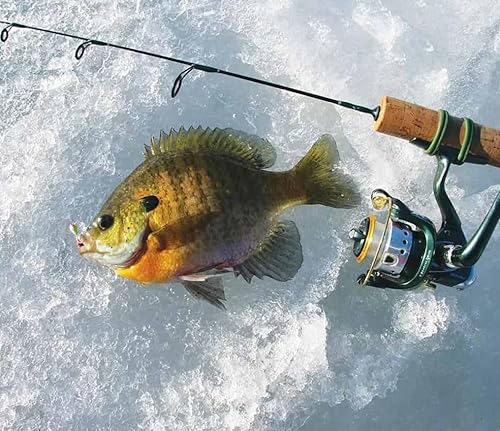 Miniatura 3 de Plantillas de pesca en hielo con brillo UV de tungsteno, paquete de 30 ninfas de hielo, caja de aparejos gratis, incluida 0.157 in 1.1 gm #10