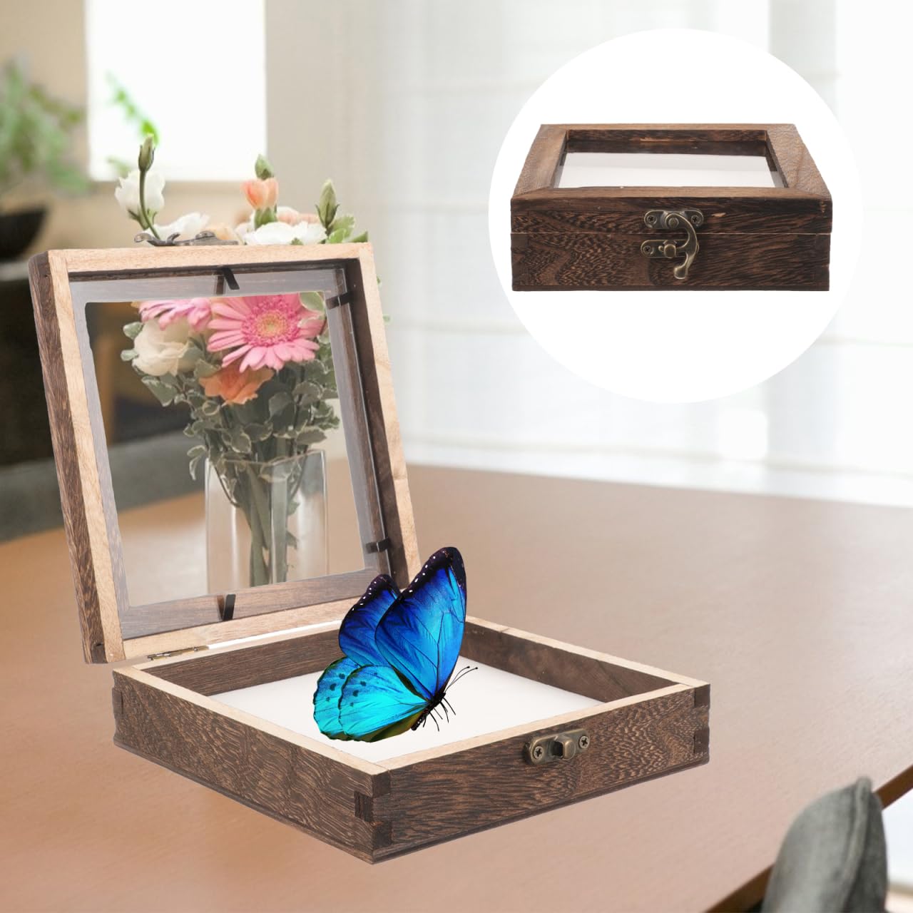 iplusmile 1 Satz Insektenprobenbehälter aus Glas Insekten-Schaukasten Sammlerbox für Insekten Vitrine für Schattenbox Holzrahmen Felsen Ausstellungsregale Schmetterlinge Vitrine 15 x 15 x 4,5 cm