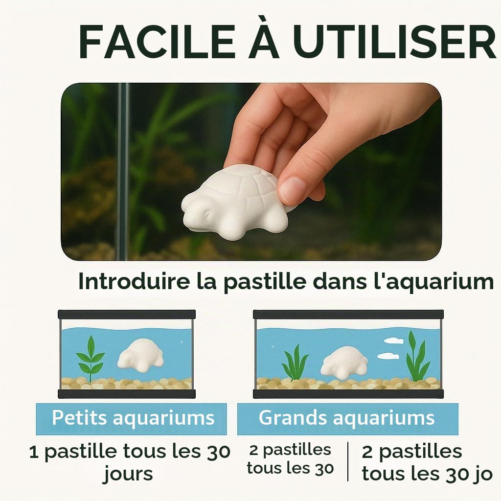 MOLY Lot de 15 comprimés de carbure de calcium dissoluble pour tortues d'eau | Renforce la carapace et neutralise le pH