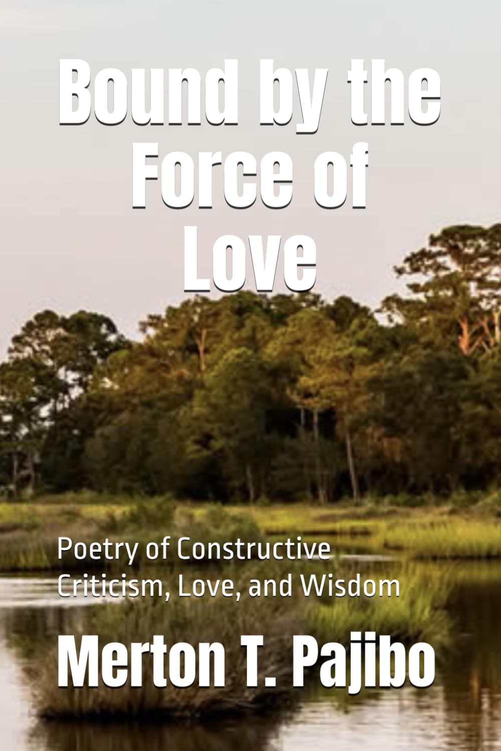 Bound by the Force of Love: Poetry of Constructive Criticism, Love, and Wisdom: