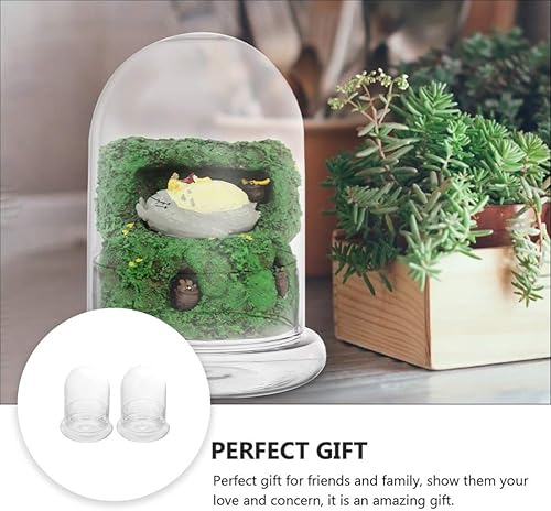 Miniatura 4 de GANAZONO 2 unidades de cristal con cúpula decorativa de cristal transparente cúpula de vitrina tarro de campana de micropaisaje decoración de