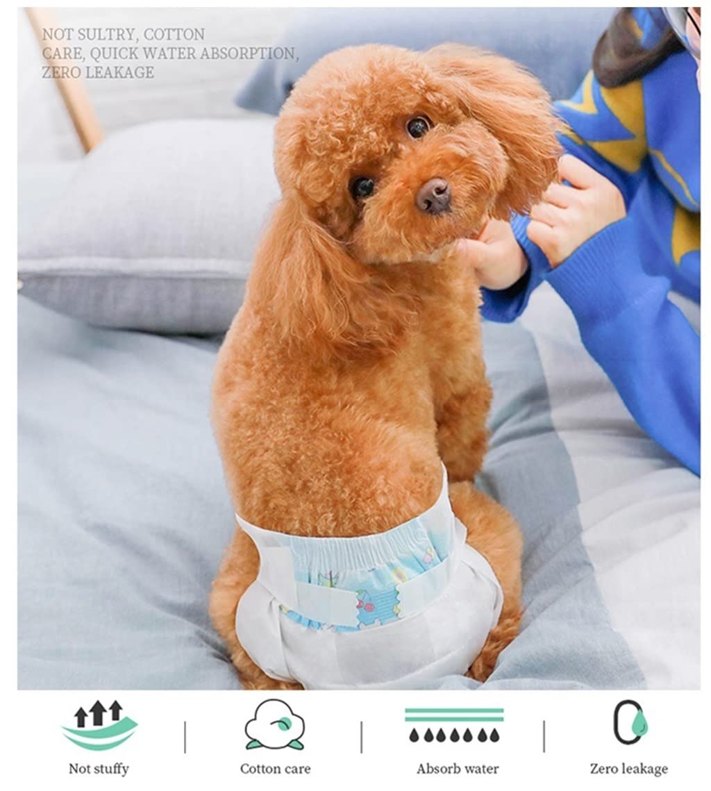 Pañales para Perros Pieza DE Puertas Doggie DE Pet SOFTSABLE DE Pet - Súper Absorbente Y Cintura Transpirable 26-48cm / 10.2-18.9inch, 20 PCS(S)